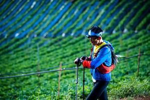 BIB: 
                            <button type="button" onclick="openModal(19159904)" class="btn btn-primary btn-sm float-right btn-popup" data-toggle="modal" data-target=".modal-high-quality">
                        <i class="fas fa-shopping-cart"></i> Add to Cart
                    </button>
                                            <button type="button" onclick="isThisMe(19159904, true)" class="btn btn-success btn-sm float-right btn-popup btn-isme hidden" data-toggle="tooltip" data-placement="bottom" title="นี่คือรูปของคุณใช่ไหม คลิกที่นี่เพื่อเอาเข้าอัลบั้ม">
                        <i class="fas fa-plus"></i> Add to album
                    </button>
                    <button type="button" onclick="isThisMe(19159904, false)" class="btn btn-warning btn-sm float-right btn-popup btn-isnotme hidden">
                        <i class="fas fa-ban"></i> Remove from album
                    </button>